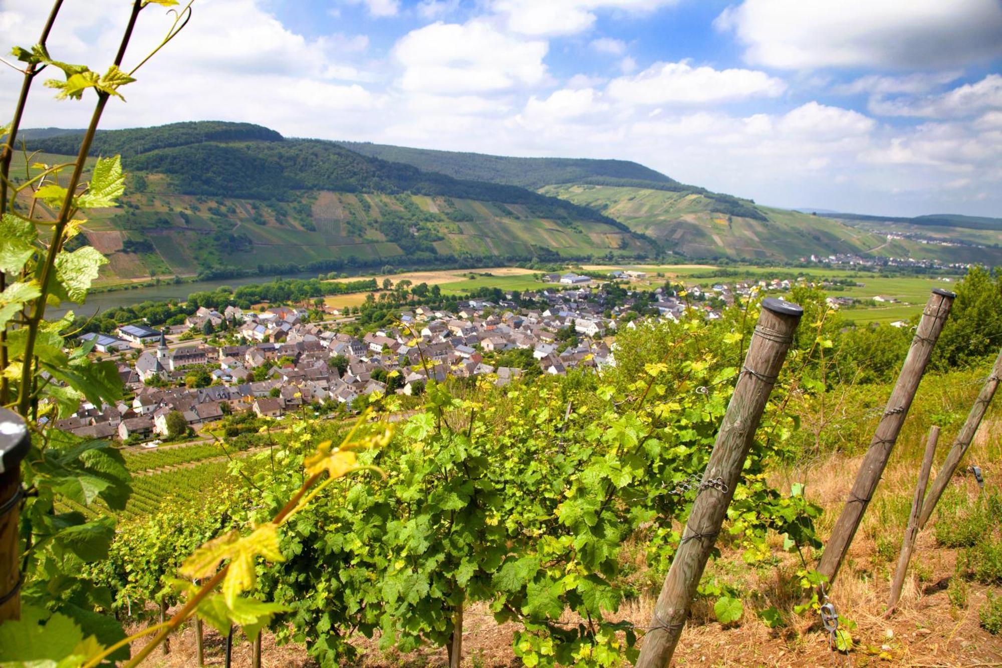 Moselhotel Weinhaus Simon 'Sauna'Restaurant'Eladesaeule 温特里希 外观 照片